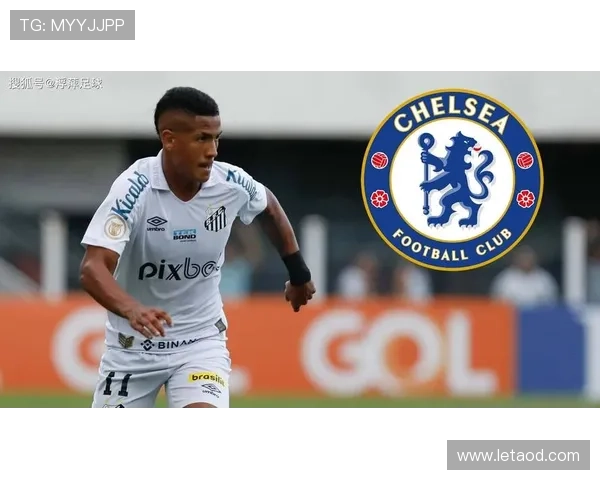 胜奇才科尔赞波杰成熟桑托斯受益